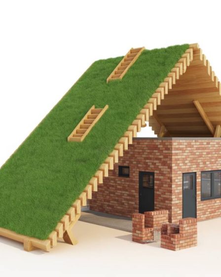 L'intégration du chanvre dans la construction : avantages, techniques et performances